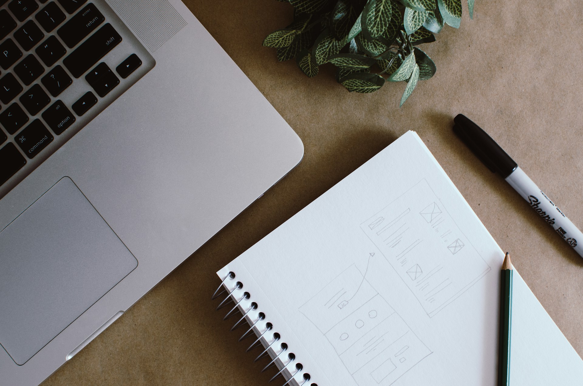 Web design workspace